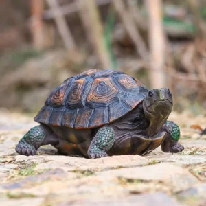 Garden Turtle Statue